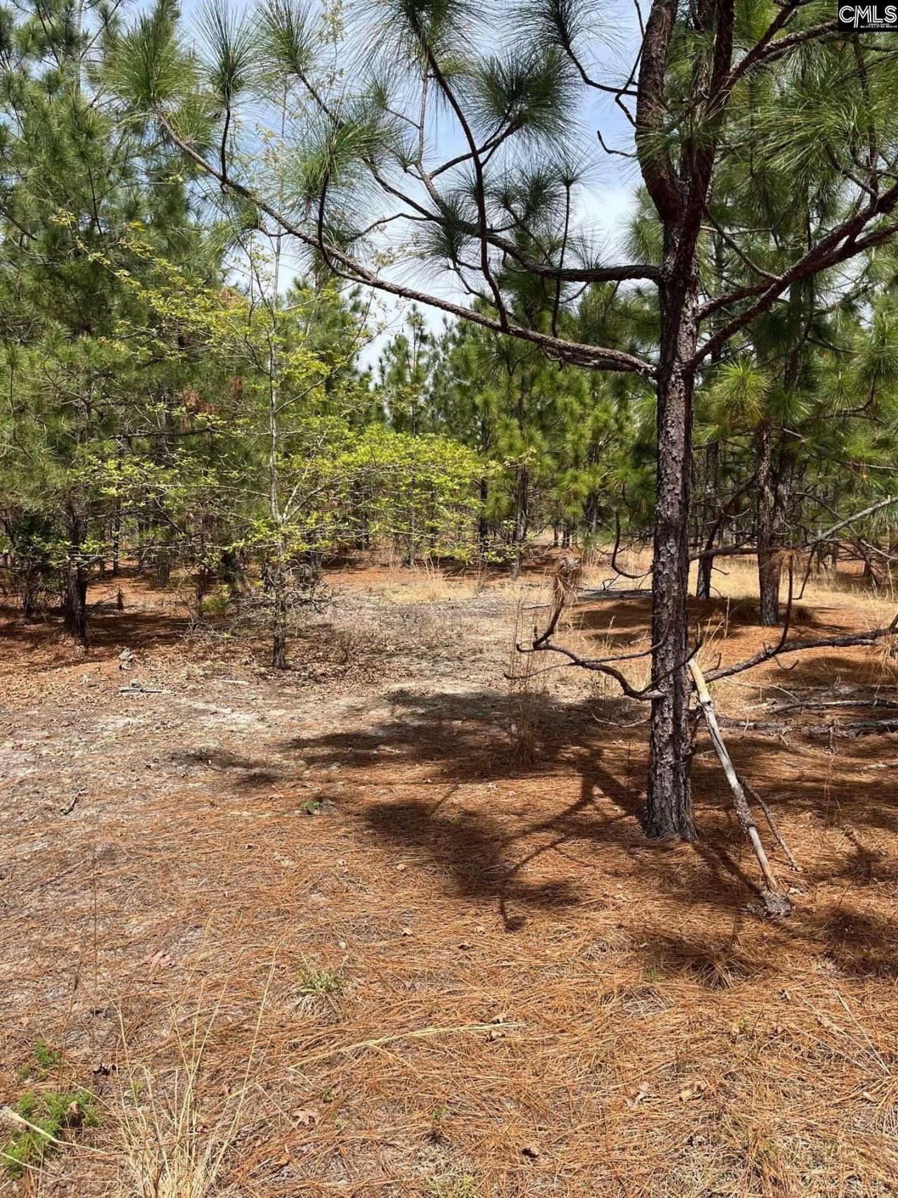 Bdf 5 Beaverdam Road  Photo 9