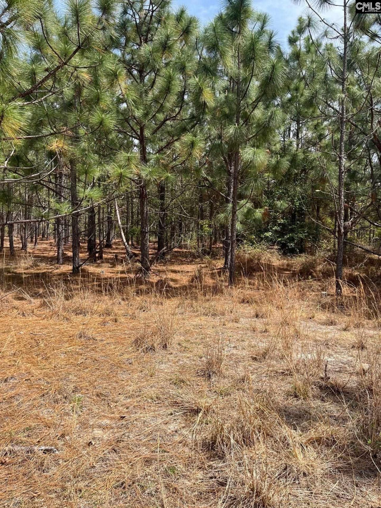 Bdf 5 Beaverdam Road  Photo 10