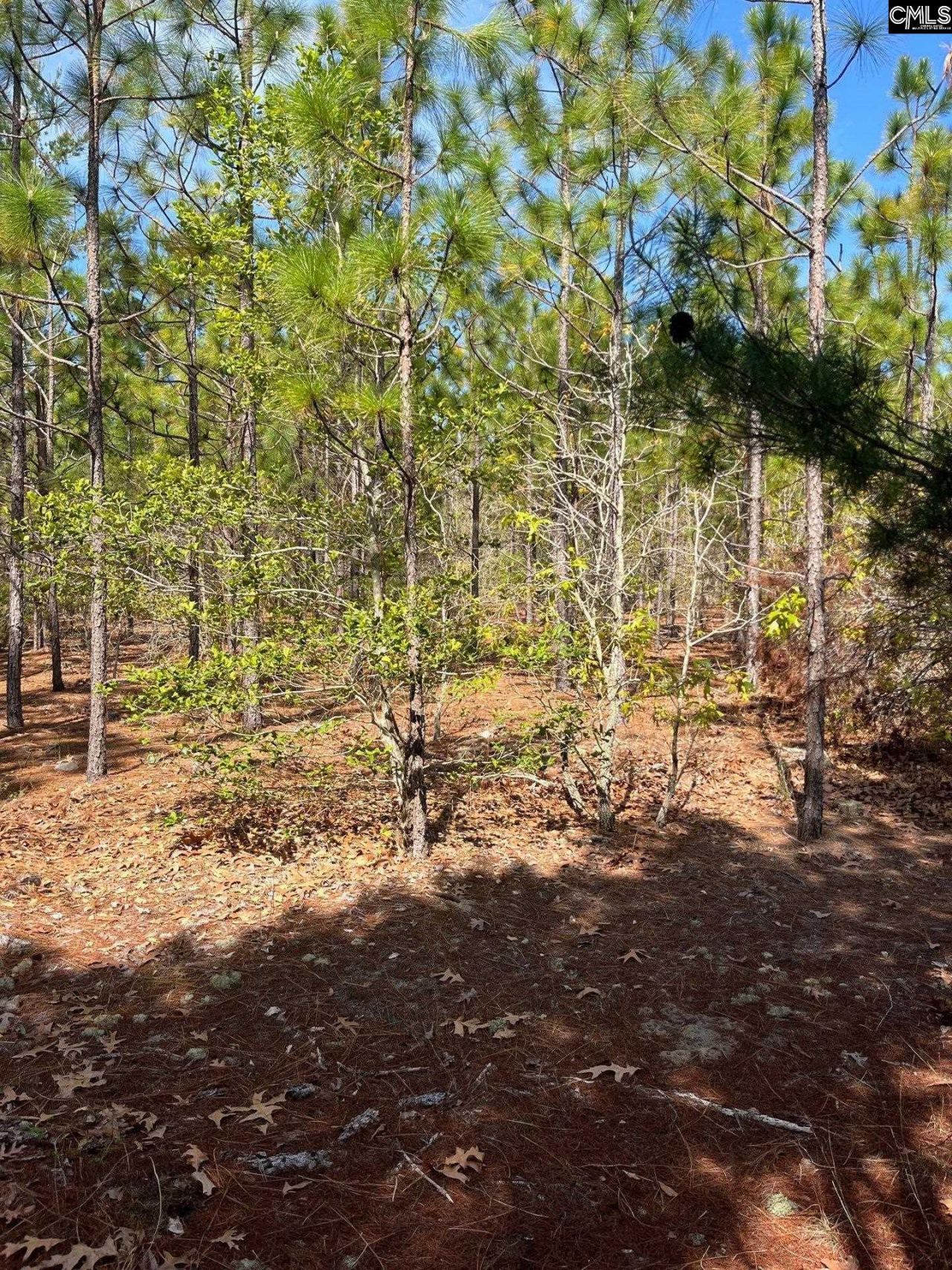 Bdf 5 Beaverdam Road  Photo 11