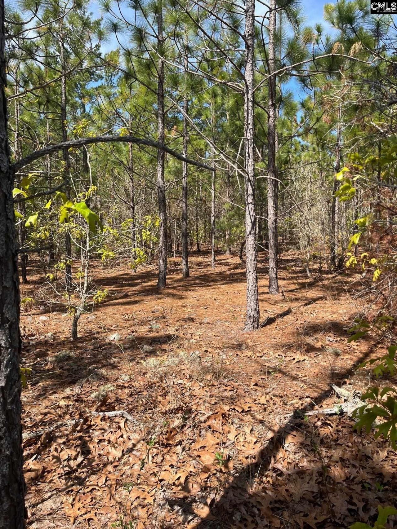 Bdf 5 Beaverdam Road  Photo 12