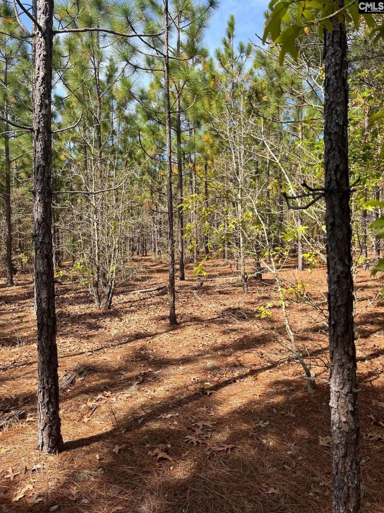 Bdf 5 Beaverdam Road  Photo 13