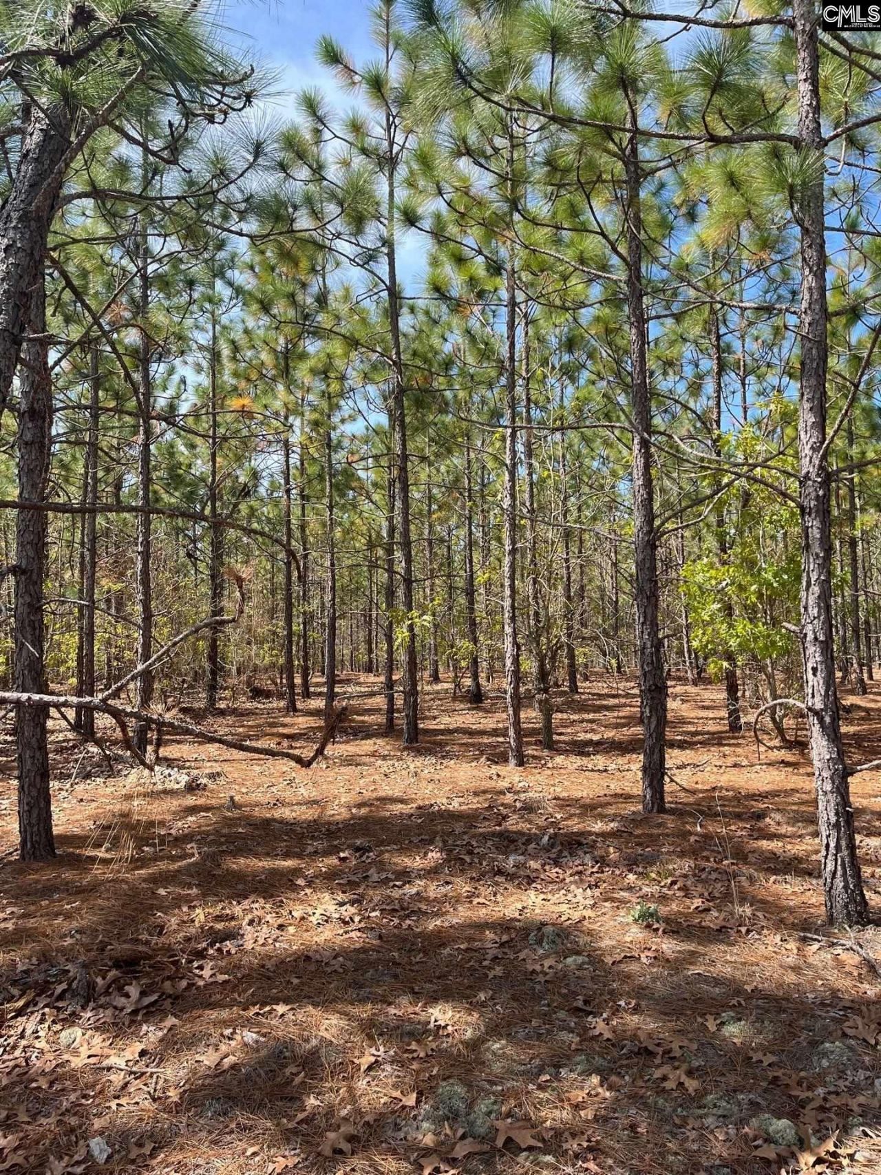 Bdf 5 Beaverdam Road  Photo 14