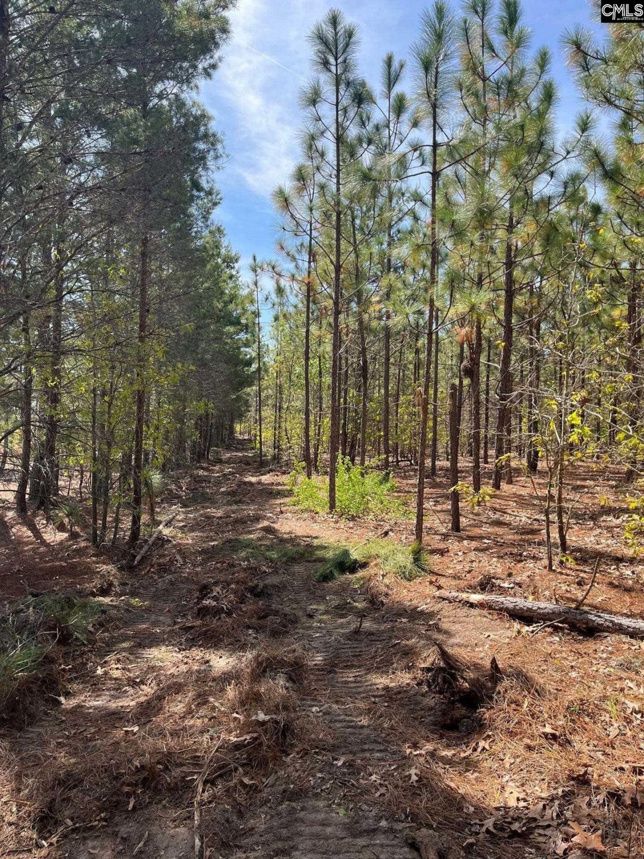 Bdf 5 Beaverdam Road  Photo 15