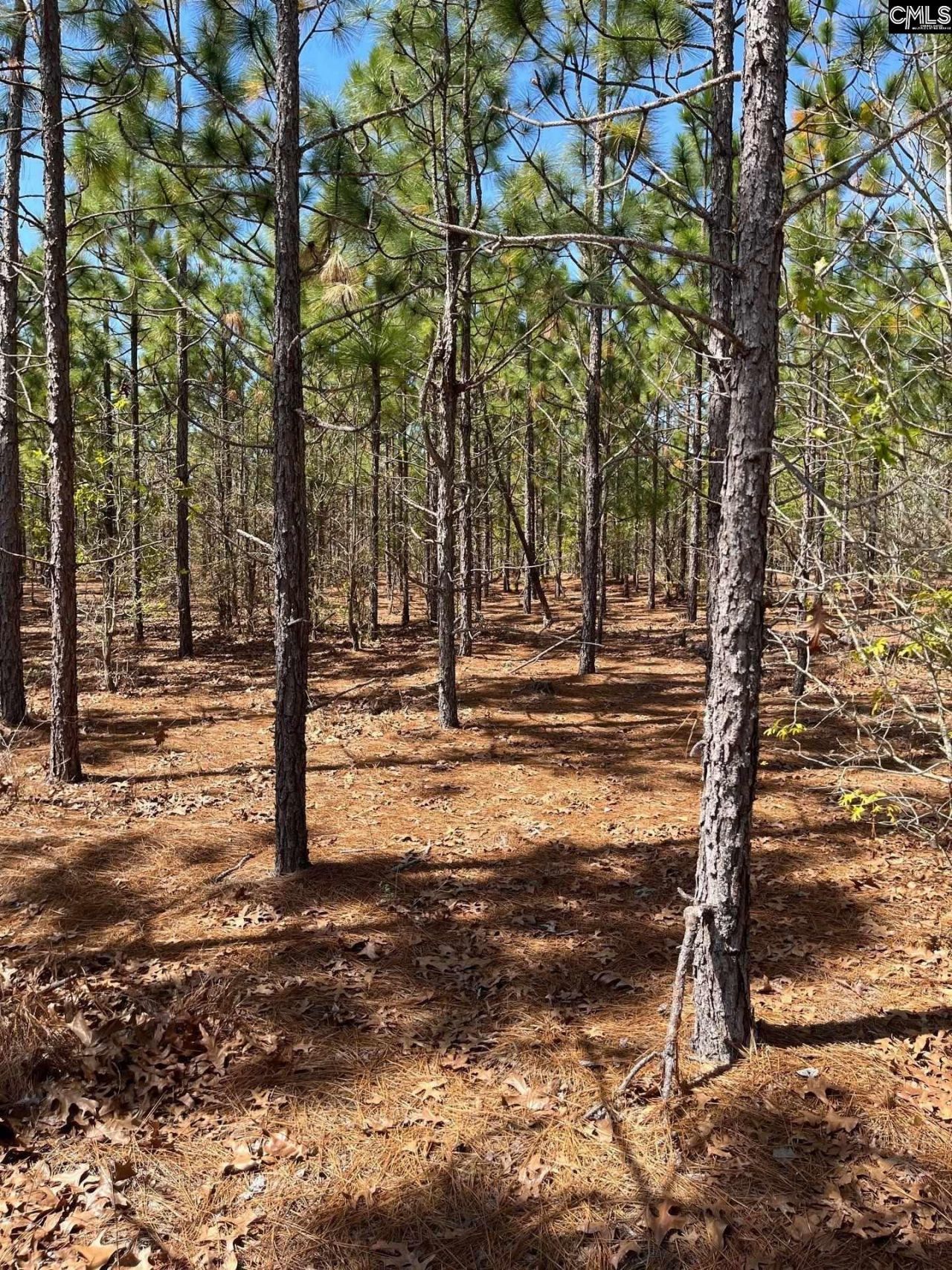 Bdf 5 Beaverdam Road  Photo 16