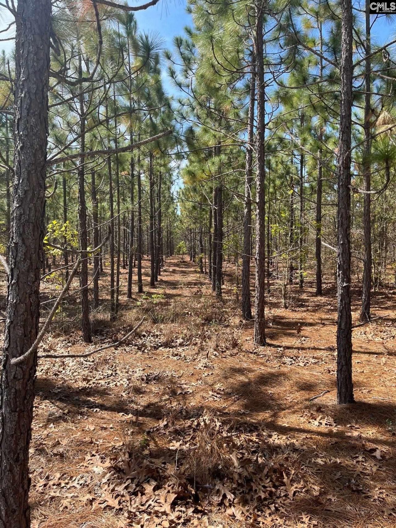 Bdf 5 Beaverdam Road  Photo 17