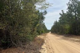 Bdf 5 Beaverdam Road  photo 4