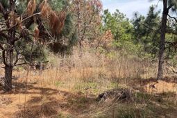 Bdf 5 Beaverdam Road  photo 4