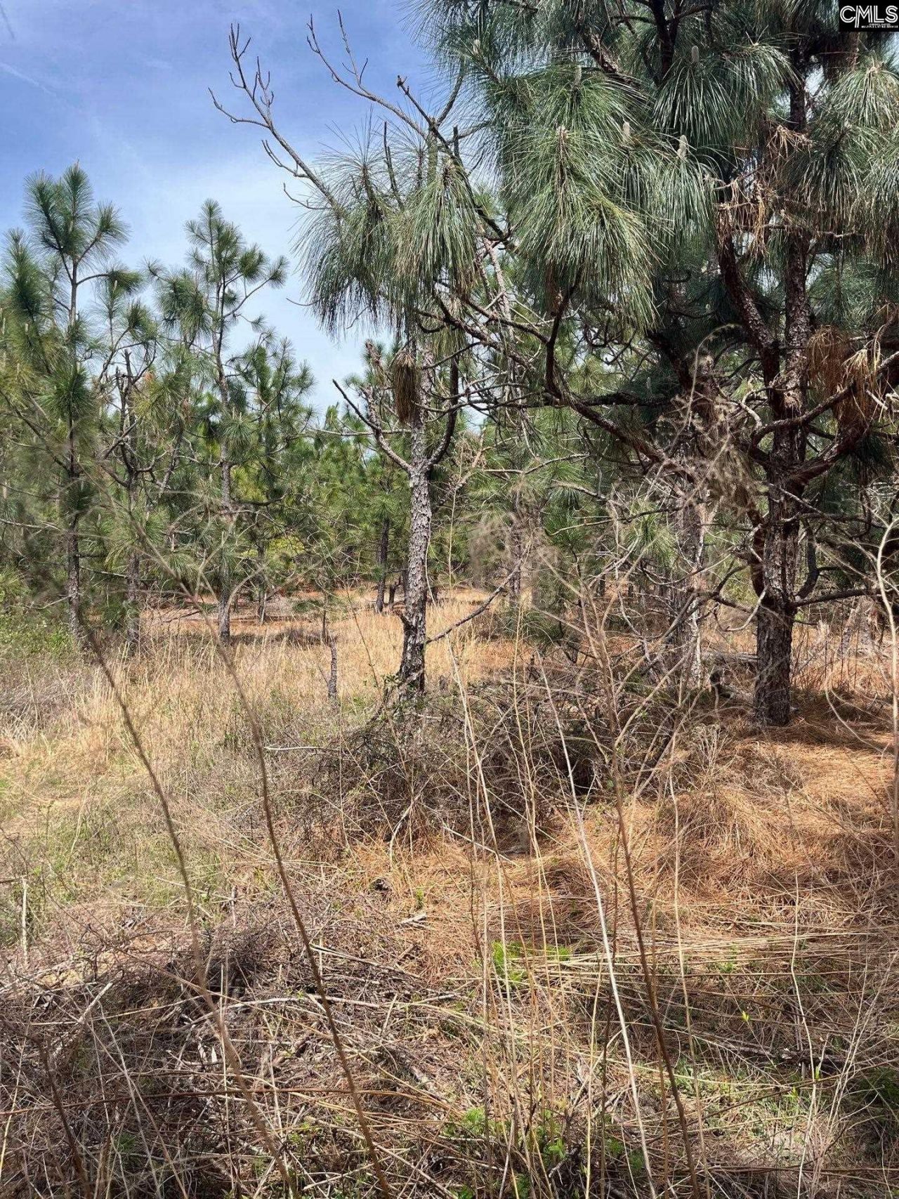 Bdf 5 Beaverdam Road  Photo 4