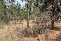 Bdf 5 Beaverdam Road  photo 4