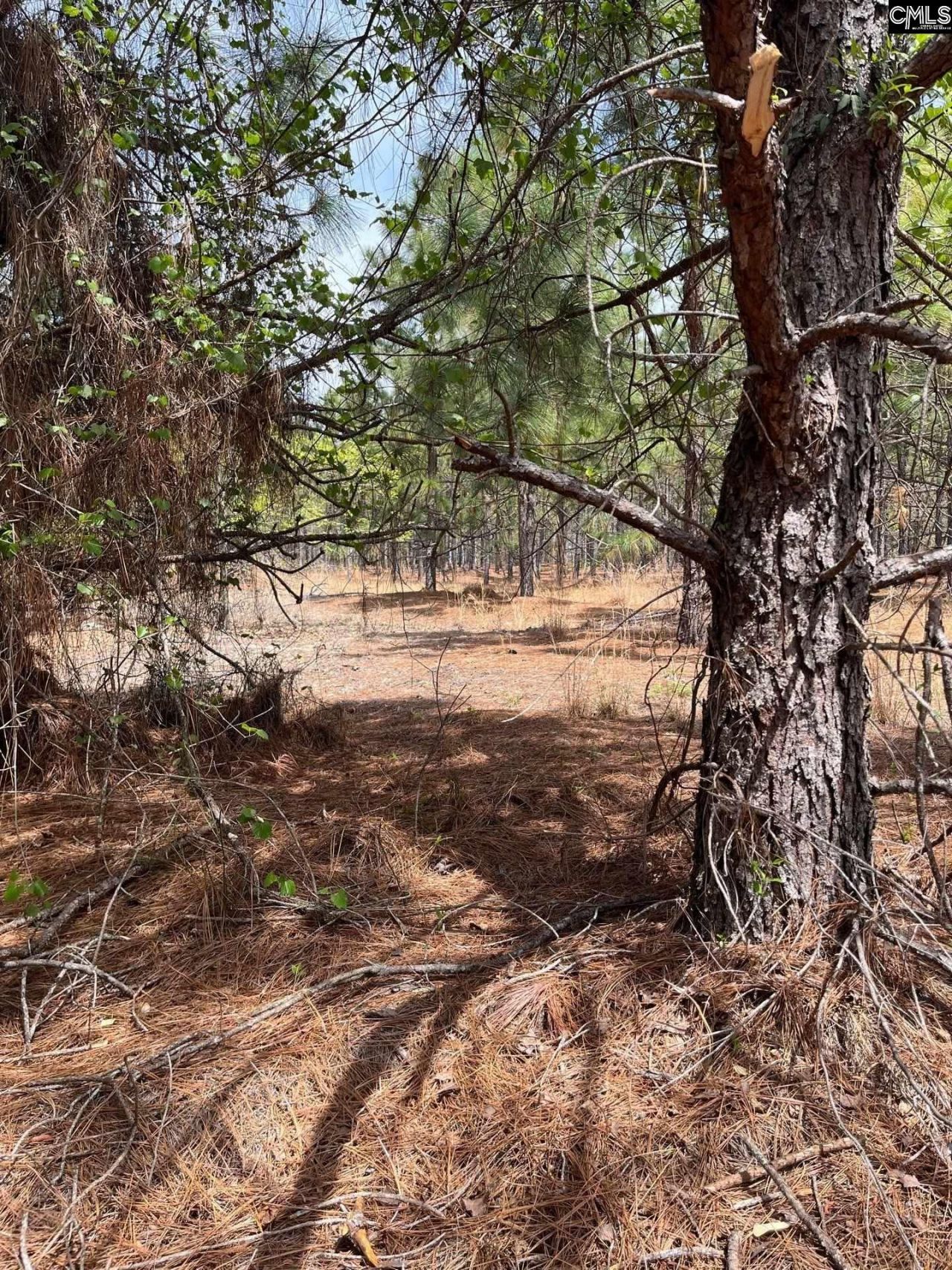 Bdf 5 Beaverdam Road  Photo 5