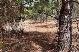 Bdf 5 Beaverdam Road  photo 4