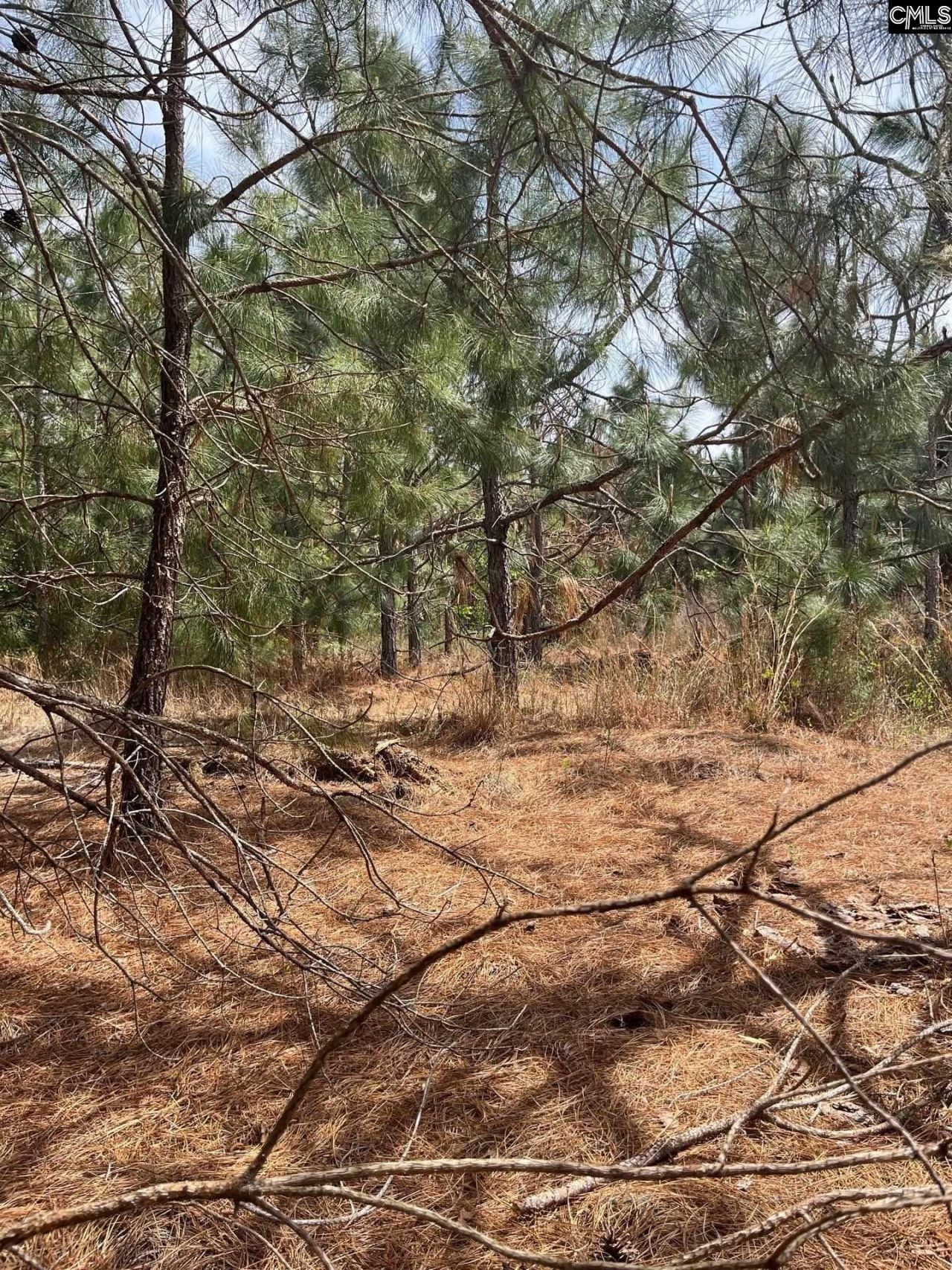 Bdf 5 Beaverdam Road  Photo 6