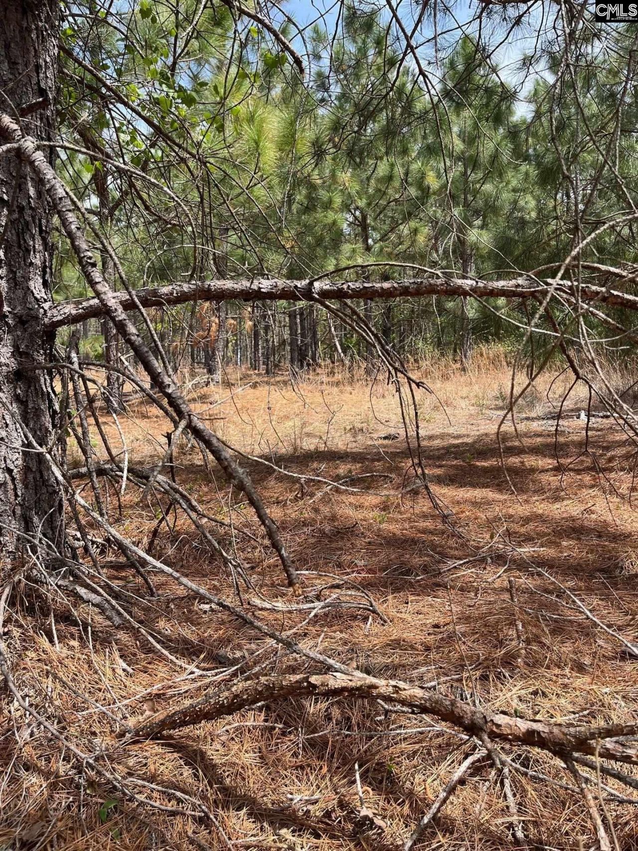 Bdf 5 Beaverdam Road  Photo 7