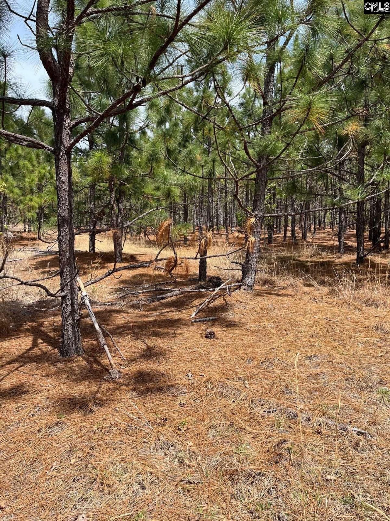 Bdf 5 Beaverdam Road  Photo 8