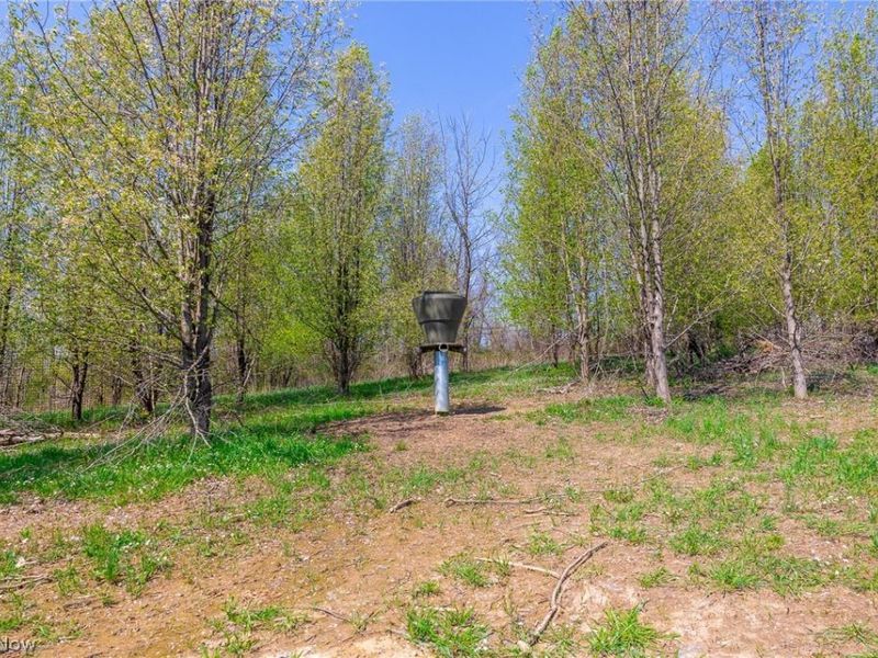 245 Liberty Road, New Concord, OH 43762 Photo 17