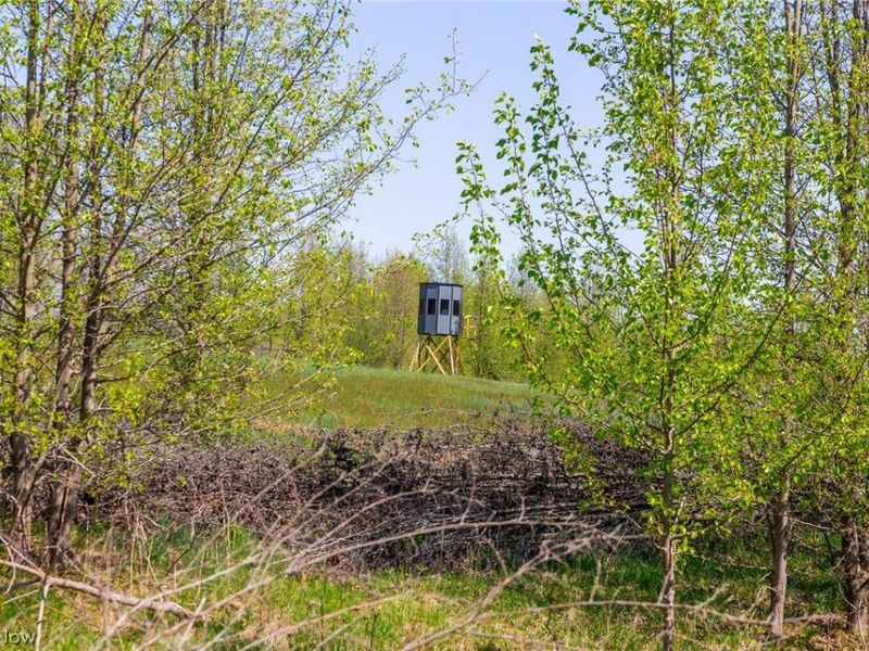 245 Liberty Road, New Concord, OH 43762 Photo 22