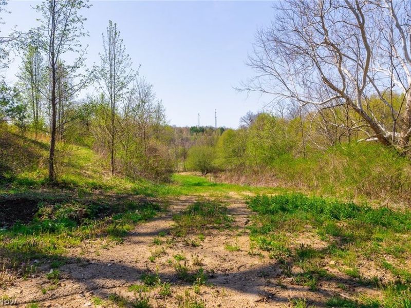 245 Liberty Road, New Concord, OH 43762 Photo 4