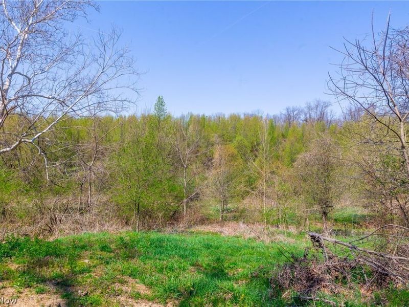 245 Liberty Road, New Concord, OH 43762 Photo 5