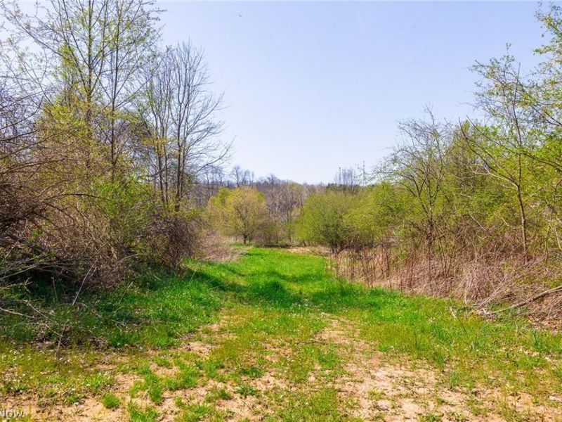 245 Liberty Road, New Concord, OH 43762 Photo 6