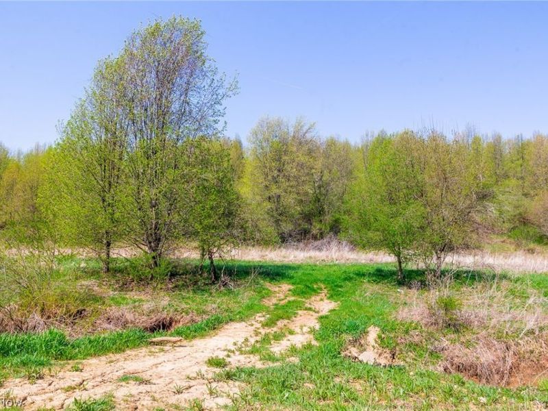 245 Liberty Road, New Concord, OH 43762 Photo 7