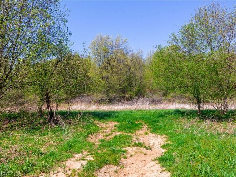 245 Liberty Road, New Concord, OH 43762 Photo 9