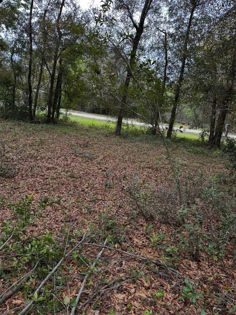 10871 NE 106th Court, Archer, FL 32618 Photo