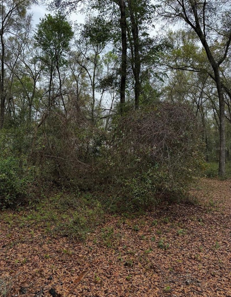 10871 NE 106th Court, Archer, FL 32618 Photo