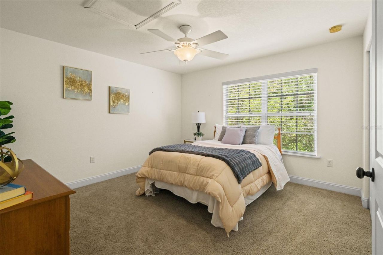 23305 June Bug Trail, Brooksville, FL 34602 Photo