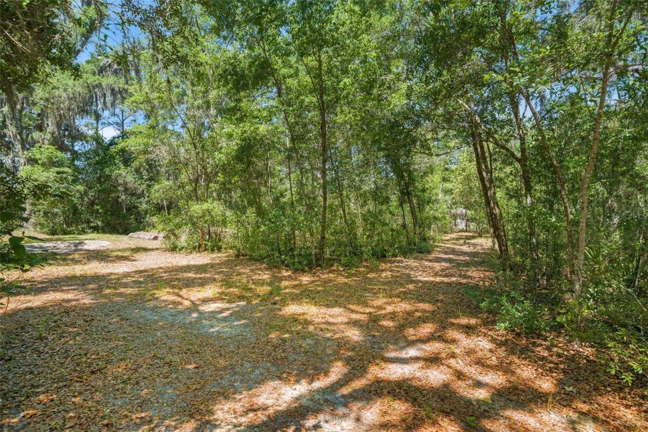 23305 June Bug Trail, Brooksville, FL 34602 Photo