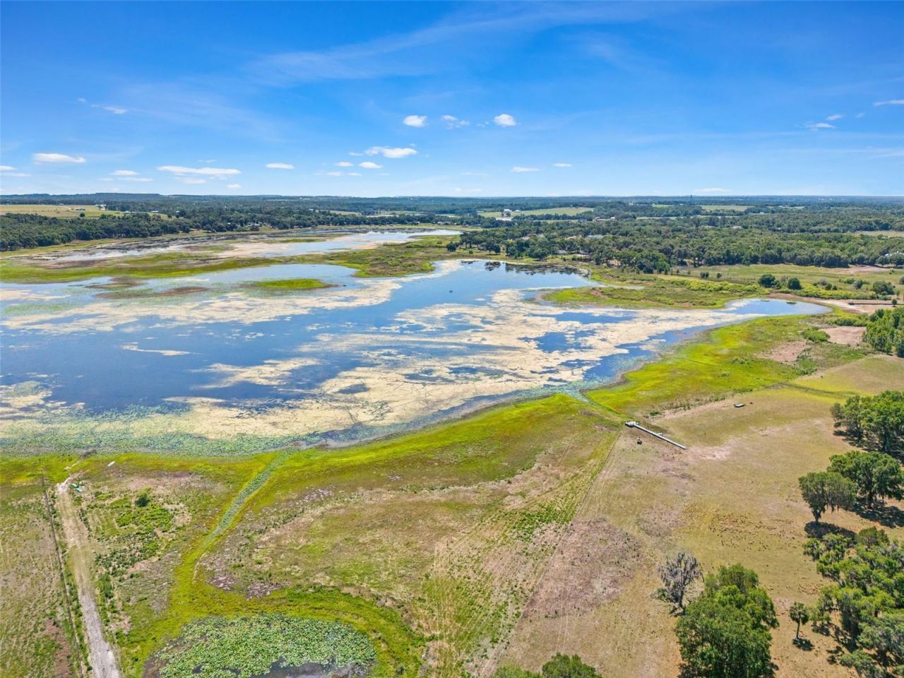 23305 June Bug Trail, Brooksville, FL 34602 Photo