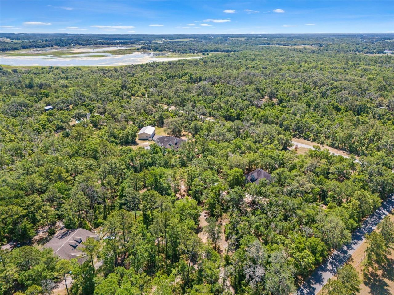 23305 June Bug Trail, Brooksville, FL 34602 Photo