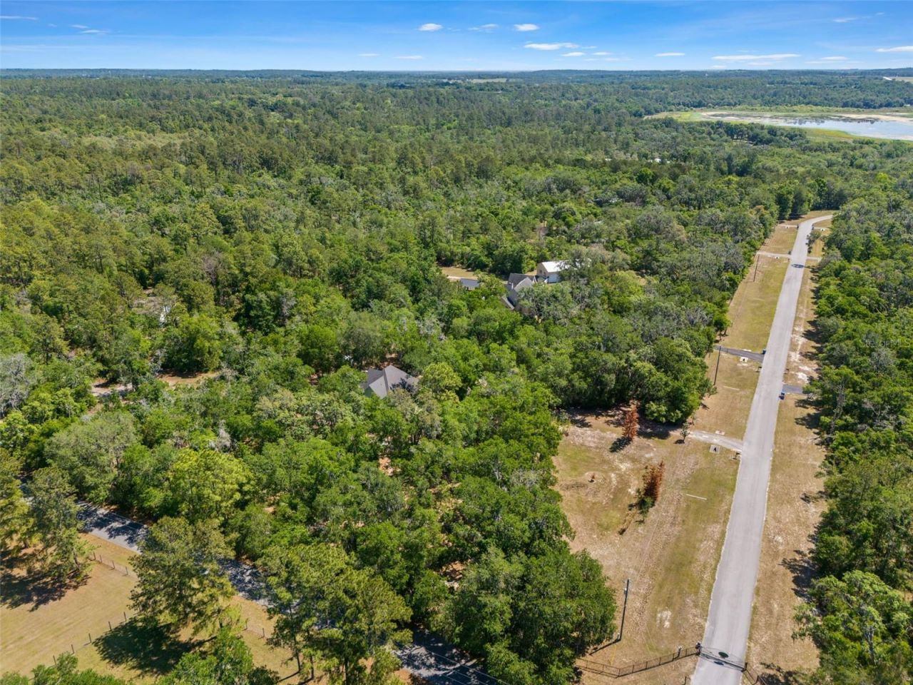 23305 June Bug Trail, Brooksville, FL 34602 Photo