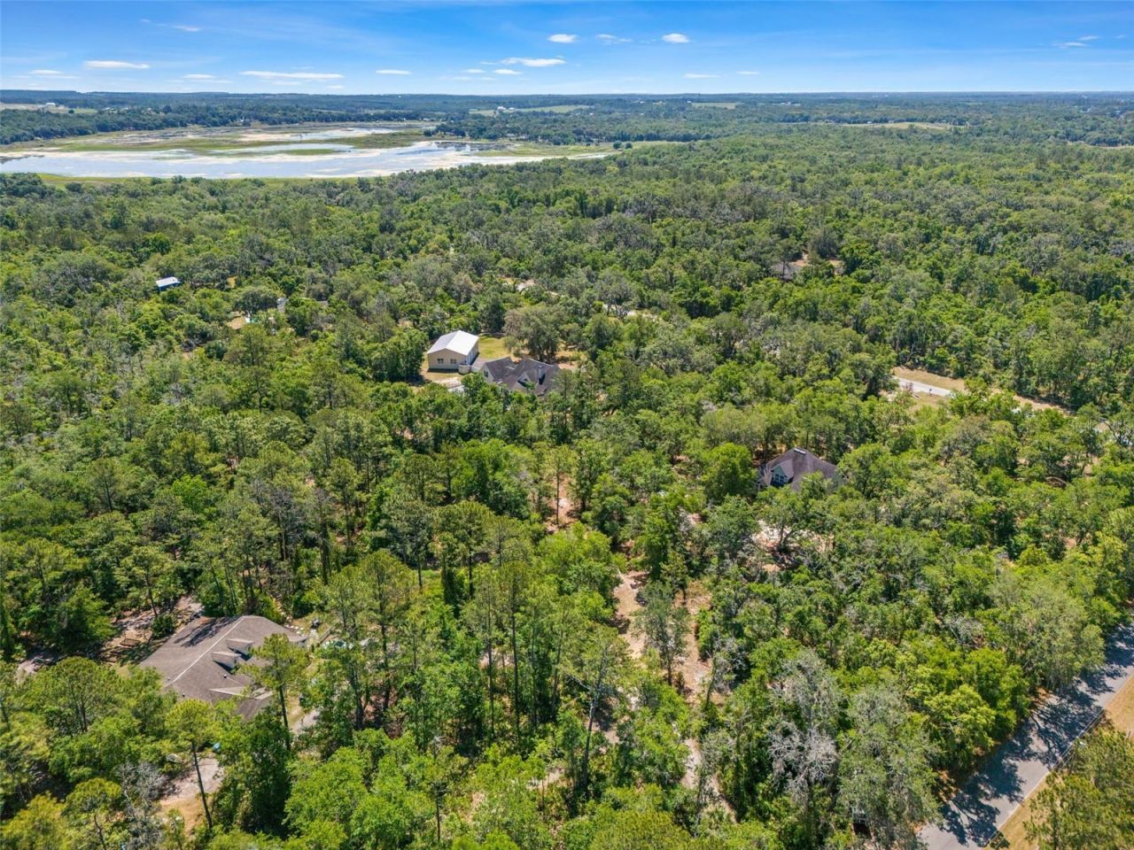 23305 June Bug Trail, Brooksville, FL 34602 Photo