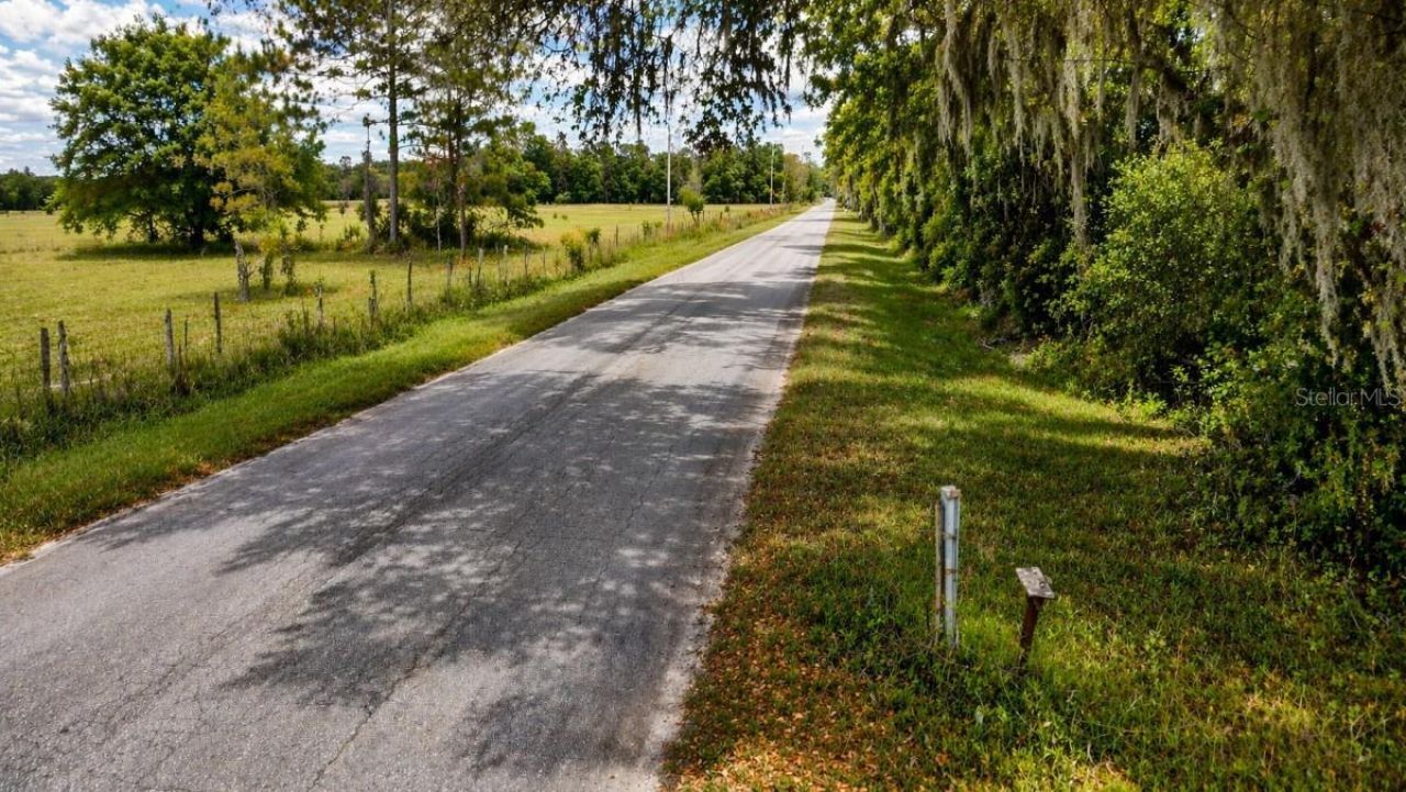 8850 NW 160th Street, Fanning Springs, FL 32693 Photo