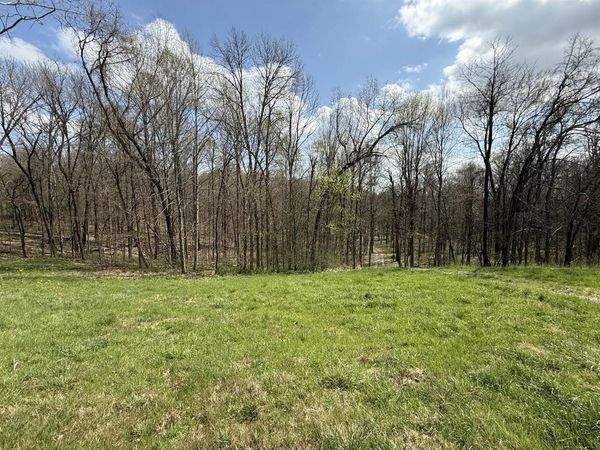 152.678 Acres A R Oliver Road , Scottsville, KY 42164