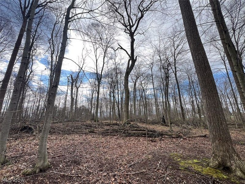 Schubert Avenue NE, Alliance, OH 44601 Photo 2