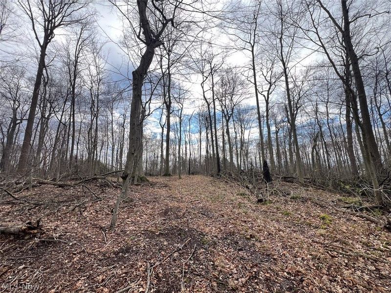 Schubert Avenue NE, Alliance, OH 44601 Photo 3