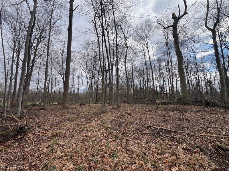 Schubert Avenue NE, Alliance, OH 44601 Photo 4