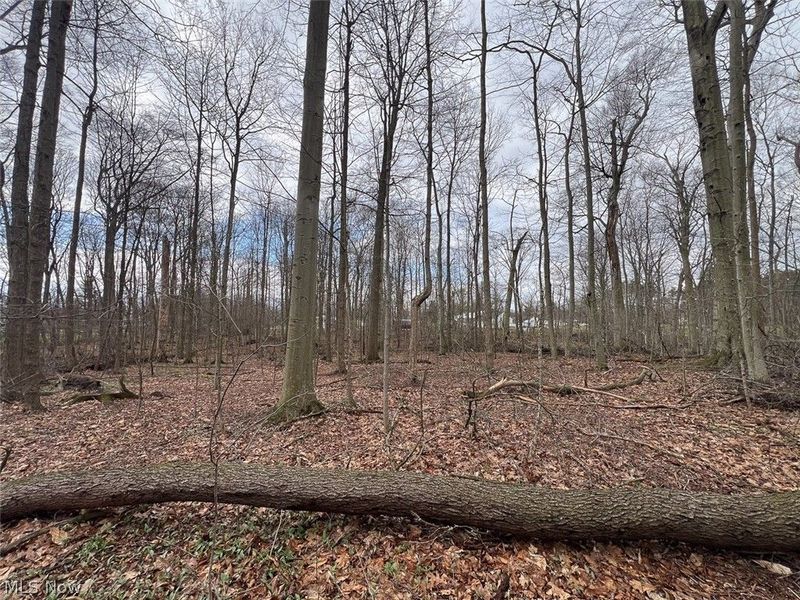 Schubert Avenue NE, Alliance, OH 44601 Photo 5