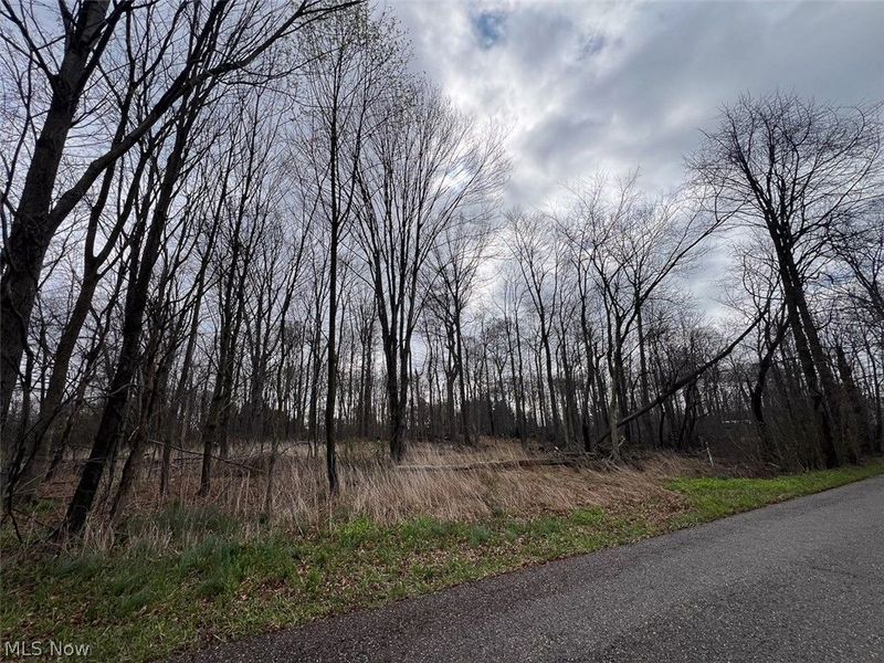 Schubert Avenue NE, Alliance, OH 44601 Photo 7