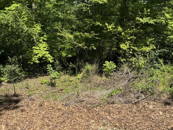 Lot 44 Cliffwood Drive, Newport, TN 37821