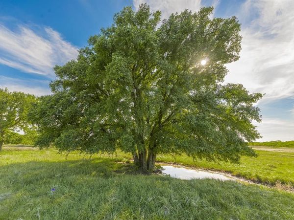 TBD C.R. 132 , Coleman, TX 76834