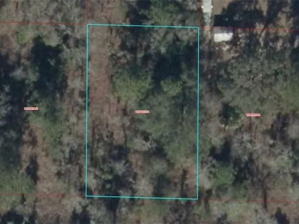 0930201700 NE 16TH LN , WILLISTON, FL 32696