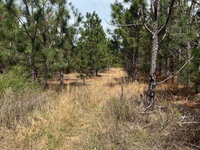 BDF 6 Beaverdam Road, Unit BDF 6, Cassatt, SC 29032