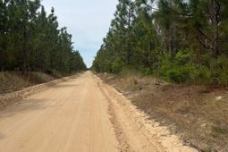 Bdf 6 Beaverdam Road photo 4