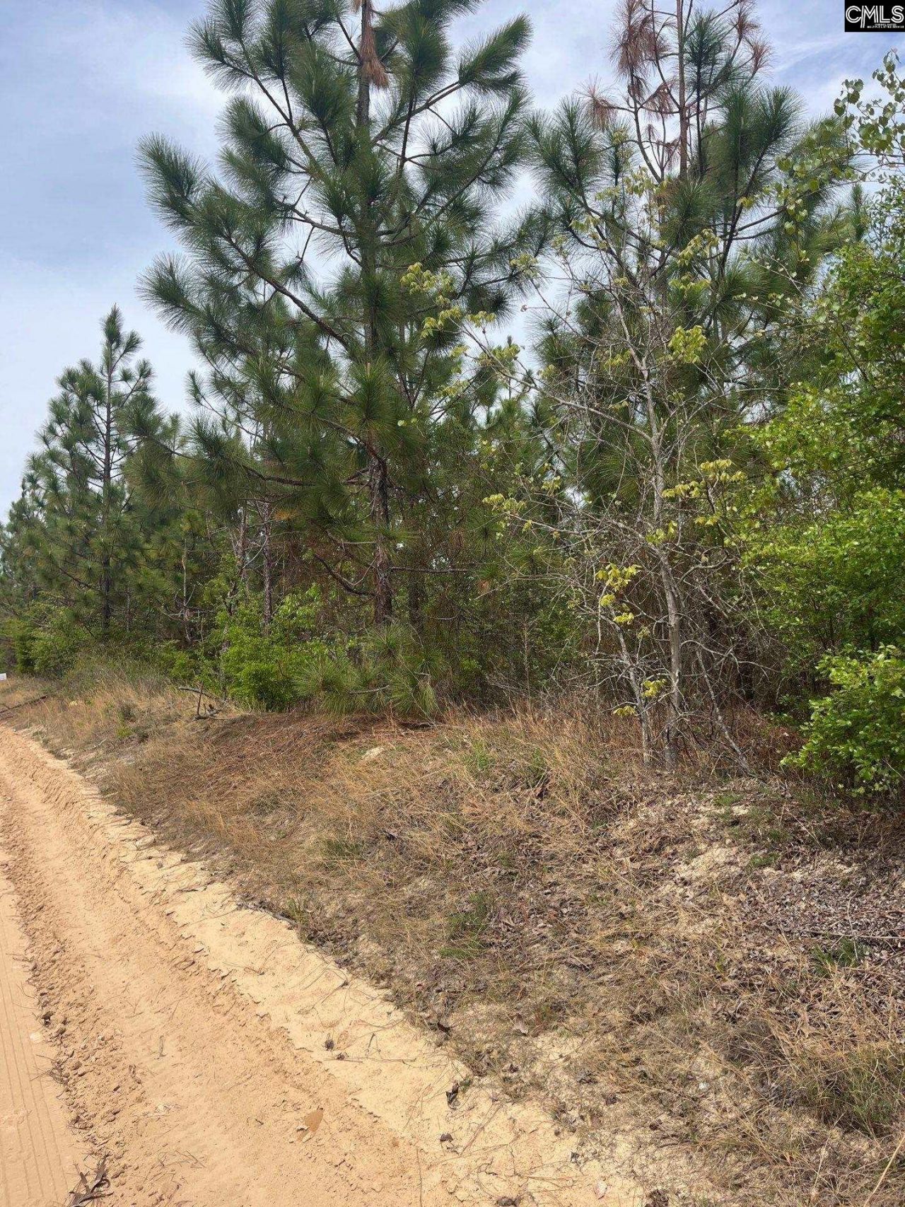 Bdf 6 Beaverdam Road Photo 4