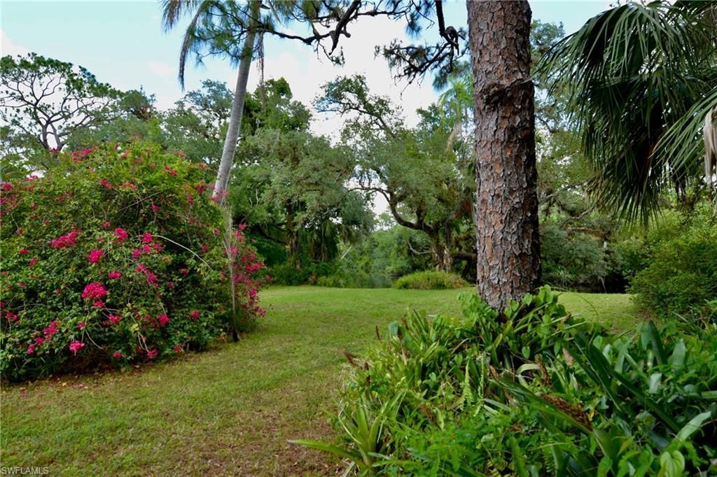 18220 Elmwood Dr, Alva, FL 33920 Photo