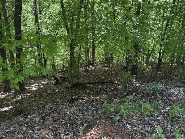 Grandpas Ridge, Sharps Chapel, TN 37866