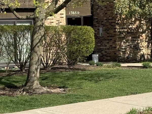 1365 N Sterling Avenue , Unit D116, Palatine, IL 60067