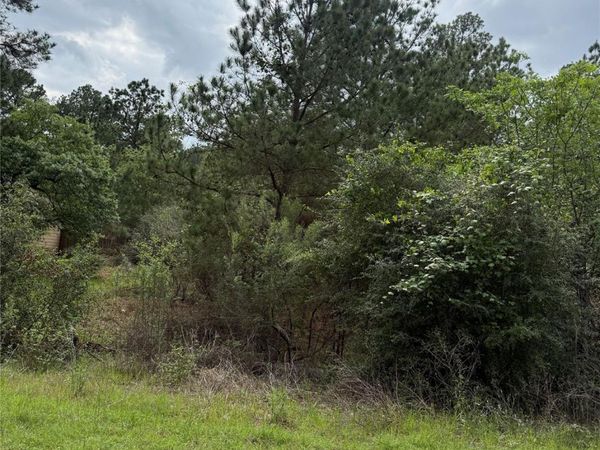 Lot 1360 N Kuapo DR, Bastrop, TX 78602